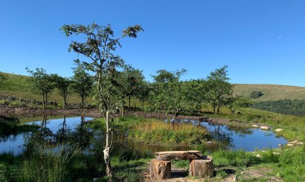 1 Bed in Snaizeholme 2