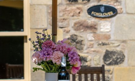 3 Bed in Newton-by-the-Sea 6