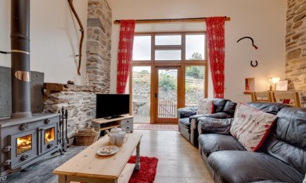 4 Bed in Llanarmon Dyffryn Ceiriog 1