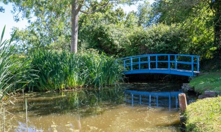 2 Bed in Wisborough Green 8