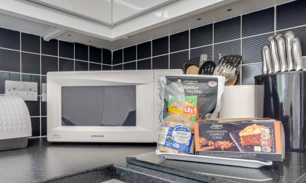 3 Bed in Borth-y-Gest 8