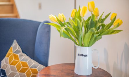 3 Bed in Llanegryn 8