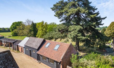 1 Bed in Rushmere St. Andrew 6