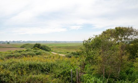 4 Bed in Southwold 6