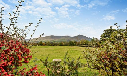 2 Bed in Bassenthwaite 8