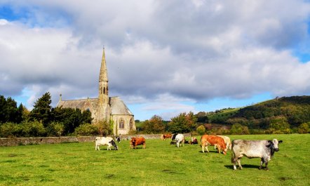 2 Bed in Bassenthwaite 6