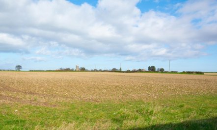 1 Bed in Ringstead 8