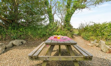2 Bed in Trefin 3
