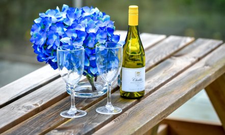 2 Bed in Llaniestyn 8