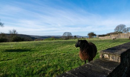 3 Bed in Llanrhidian 1