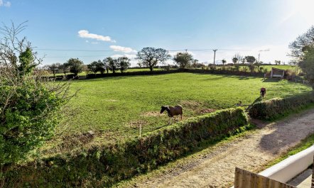 3 Bed in St. Austell 8