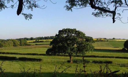 3 Bed in Dronfield 5