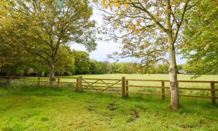 2 Bed in Ketteringham 6