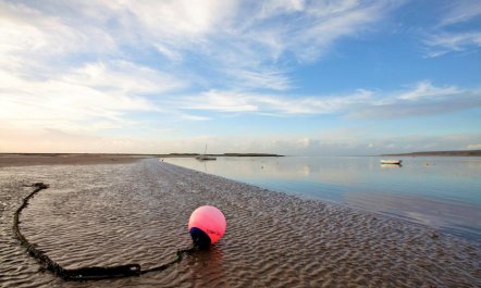 1 Bed in Appledore 7