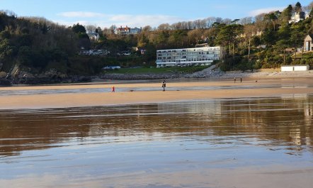 2 Bed in Caswell Bay 5