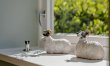 2 Bed in Spennithorne 6