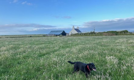 3 Bed in Tudweiliog 4