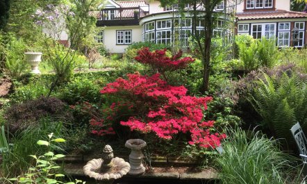 4 Bed in West Runton