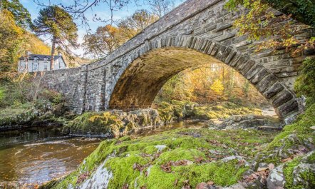 1 Bed in Betws-y-Coed 7