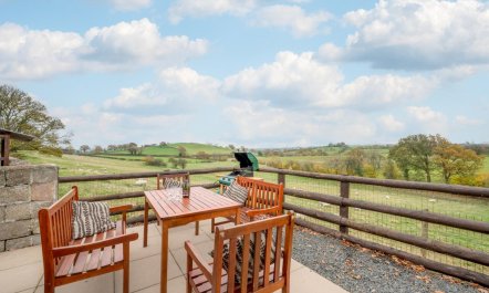 2 Bed in Y Drenewydd 1