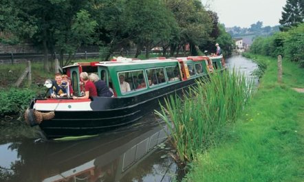 2 Bed in Y Drenewydd 9