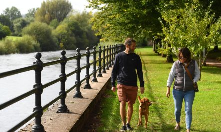 3 Bed in Aberaeron 4