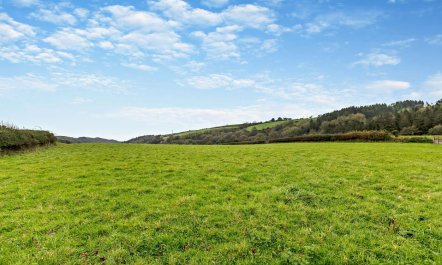 1 Bed in Morwenstow 4