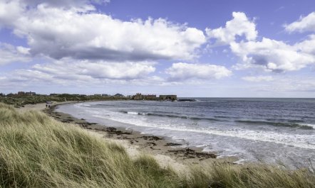 2 Bed in Beadnell 3