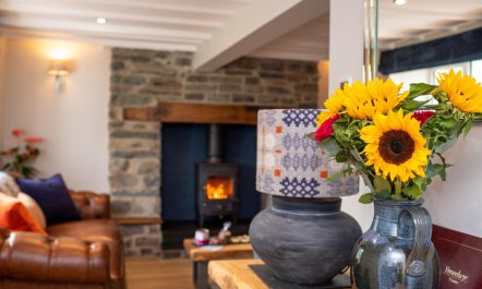 3 Bed in Aberystwyth 9