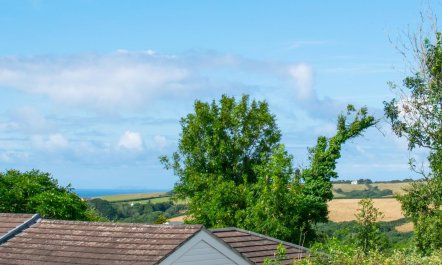 3 Bed in Higher Crackington 3