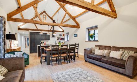 4 Bed in Dinas Mawddwy 8