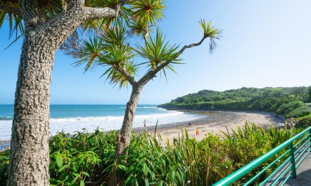 1 Bed in Langland 9