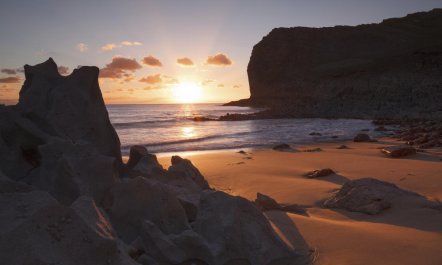 1 Bed in Langland 7