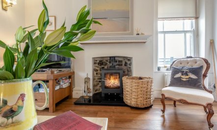 4 Bed in Appledore 6