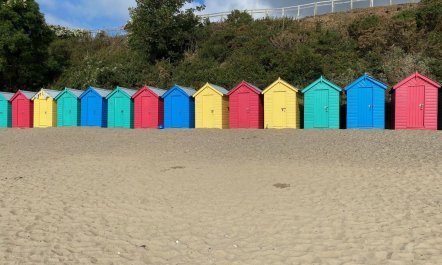 3 Bed in Llanbedrog 5