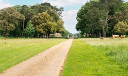 1 Bed in Wells-next-the-Sea 9