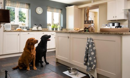 5 Bed in North Sunderland 5