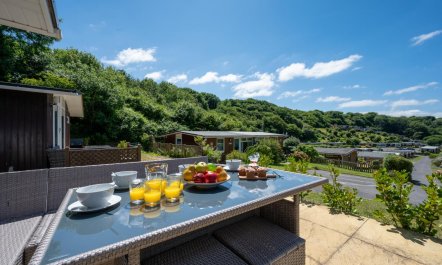 2 Bed in Caswell Bay 6