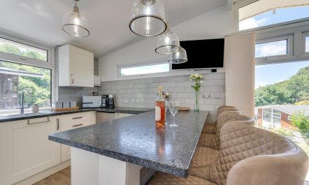 2 Bed in Caswell Bay 4