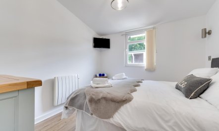 2 Bed in Caswell Bay 8