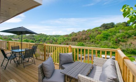2 Bed in Caswell Bay