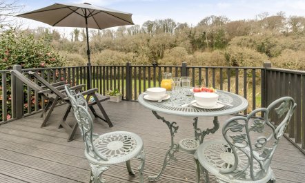 1 Bed in Ponsanooth 4