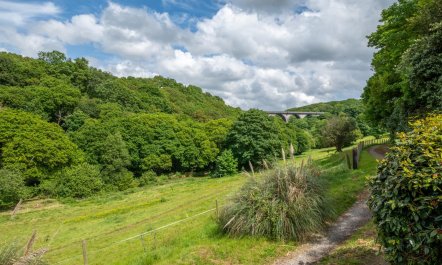 1 Bed in Ponsanooth 9