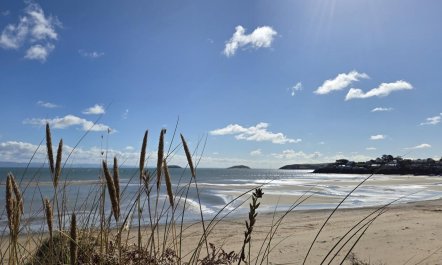 4 Bed in Llaniestyn 8