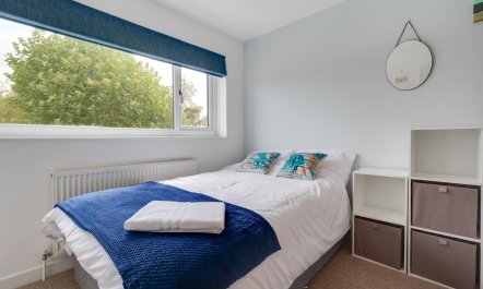 3 Bed in Bishopston 8