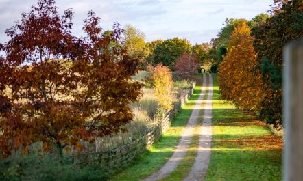 1 Bed in North Stainley 2