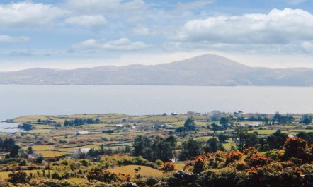 4 Bed in Kilcrohane 8