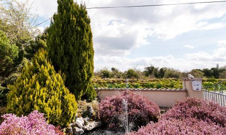 3 Bed in Riverstown 9