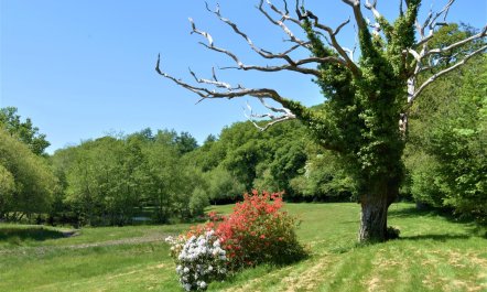 2 Bed in Two Waters Foot 9