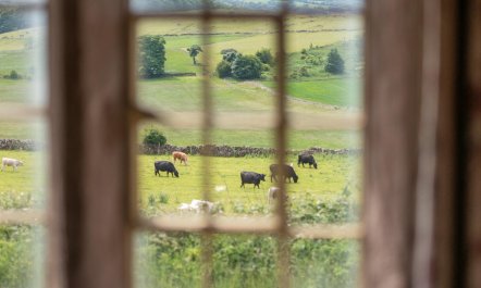 2 Bed in Brassington 4